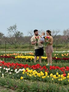 family in tulip fields